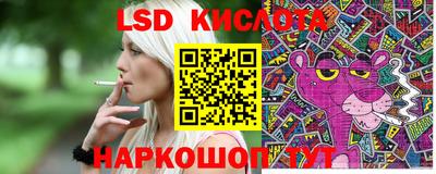 индика Шелехов